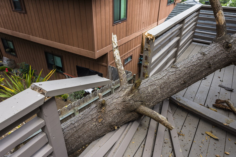 fallen tree damage, house deck